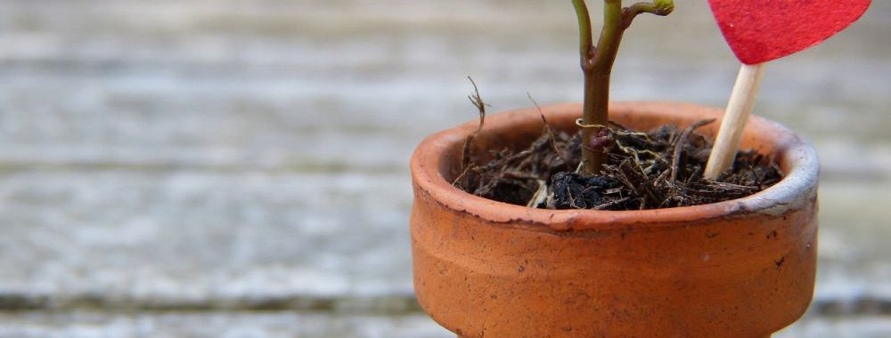 ajtónyitás Pécs, zárnyitás Pécs, zárszerelés Pécs, zárjavítás Pécs, zárcsere Pécs, lakatos Pécs
